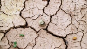 Sol craquelé par la sécheresse sous un soleil écrasant, illustration de la canicule de juillet 2026 en France