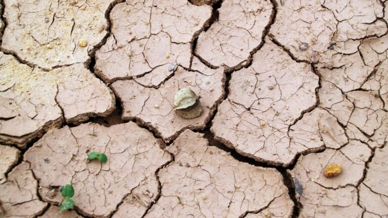 Sol craquelé par la sécheresse sous un soleil écrasant, illustration de la canicule de juillet 2026 en France